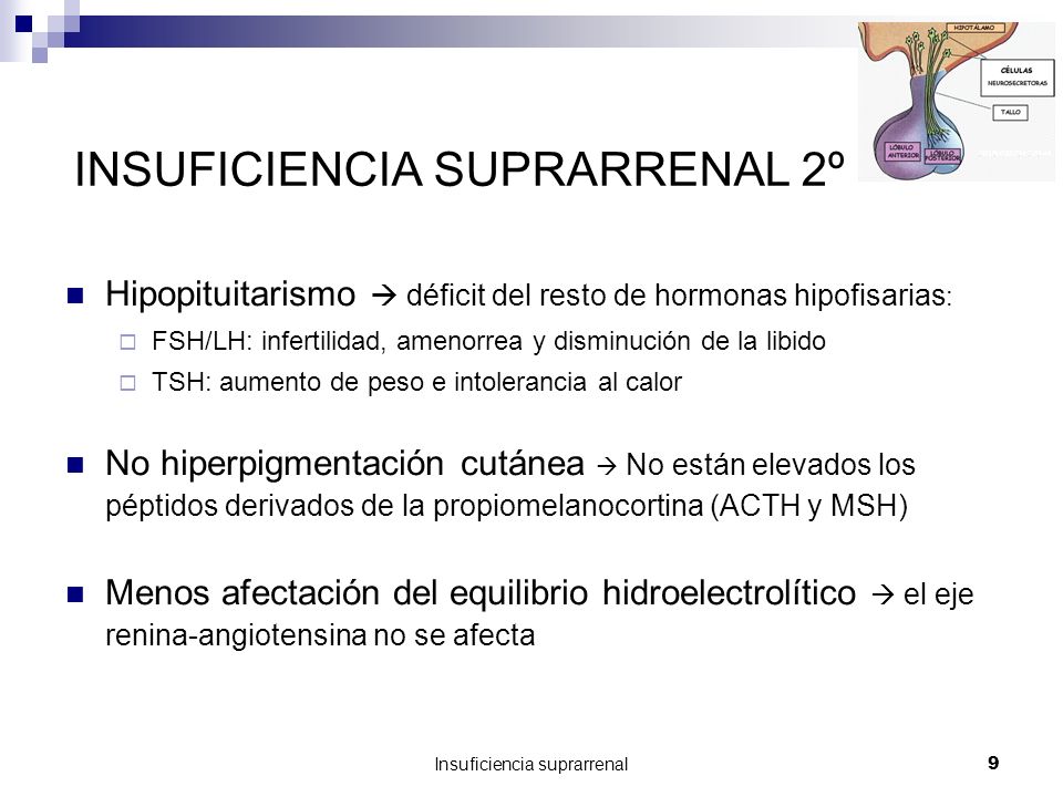 Perdida de peso insuficiencia suprarrenale Perdida de peso insuficiencia suprarrenale